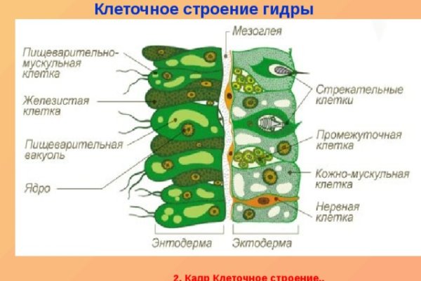 Найти зеркало кракена