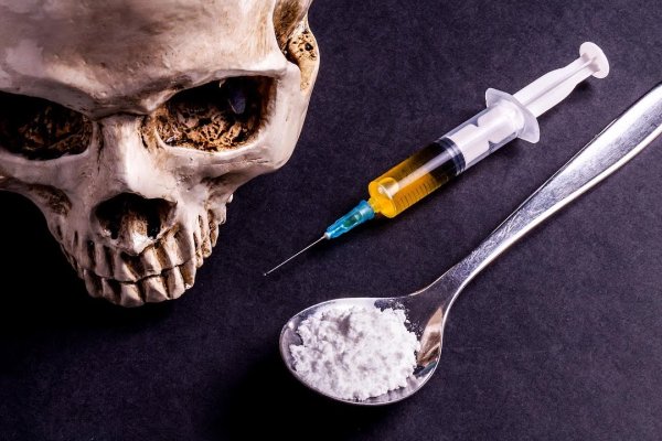 Что за приложение кракен